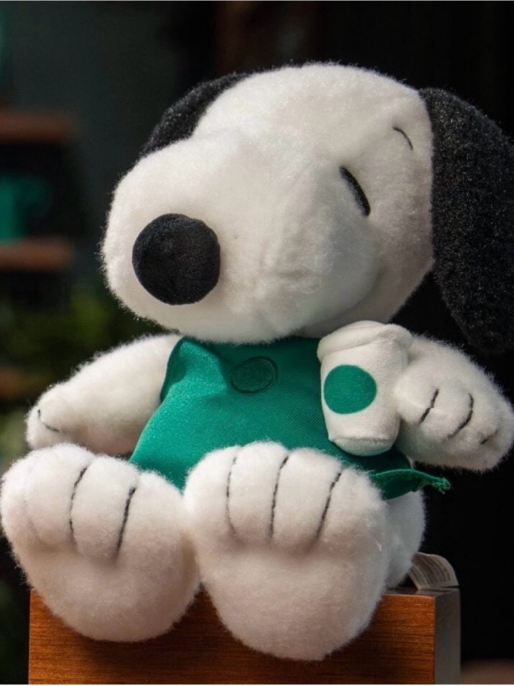 Starbucks x Peanuts Snoopy Plush Stuff